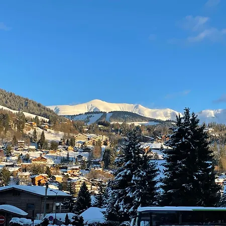 - Yack - Premium Jusqu'a 15 Pers *