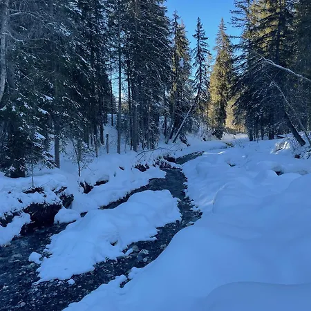Chalet  le Yack   Jusqu'à 15 Pers