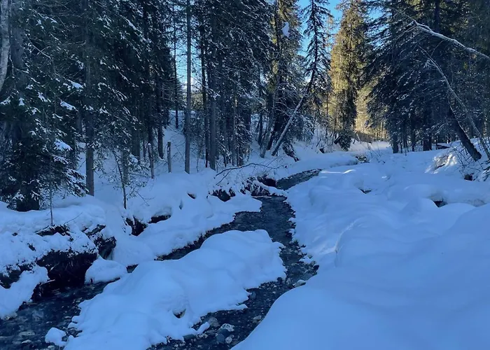 木屋 - Yack - Premium Jusqu'a 15 Pers