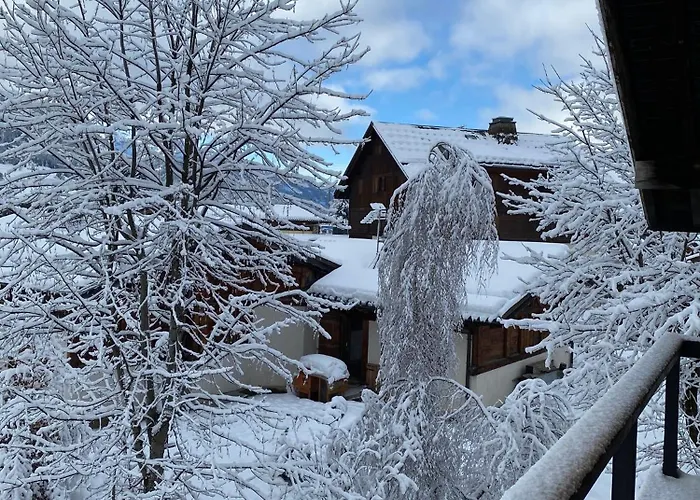 - Yack - Premium Jusqu'a 15 Pers